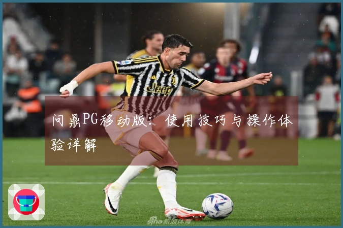 问鼎PG移动版：使用技巧与操作体验详解