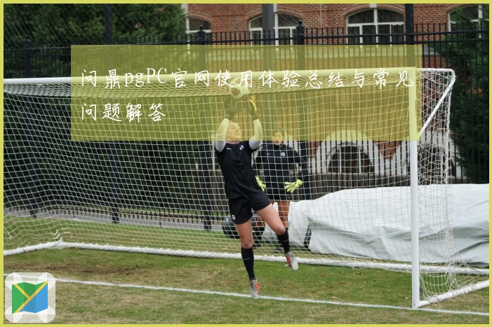 问鼎pgPC官网使用体验总结与常见问题解答