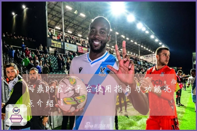 问鼎pg官方平台使用指南与功能亮点介绍_1